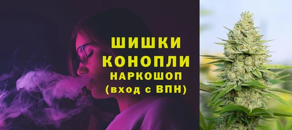 тгк Богданович