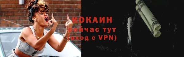 тгк Богданович