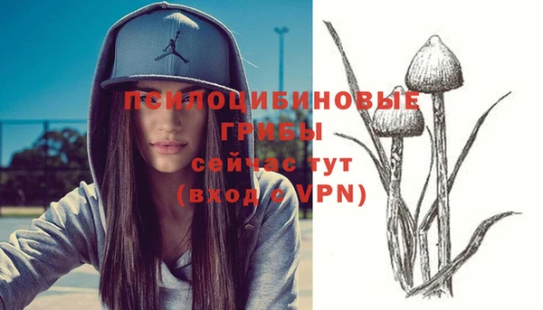 тгк Богданович