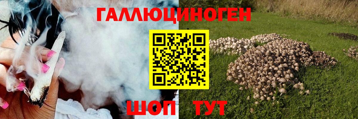 Бугульма  Псилоцибиновые грибы GOLDEN TEACHER  Галлюциногенные грибы Cubensis  Вход с VPN 