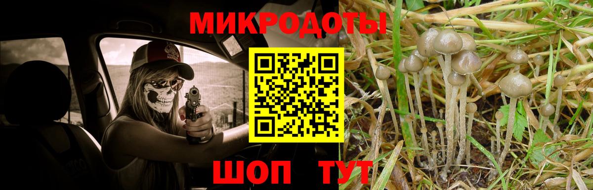 Галлюциногенные грибы мицелий Бугульма